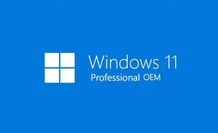 window11oem